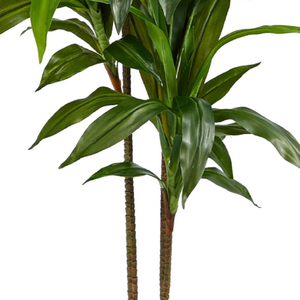 Pianta Artificiale Dracaena 48 Pollici, Grande Pianta in Seta Realistica con Tronchi Multitono per Arredamento Casa, Ufficio, Soggiorno - Product Image 3