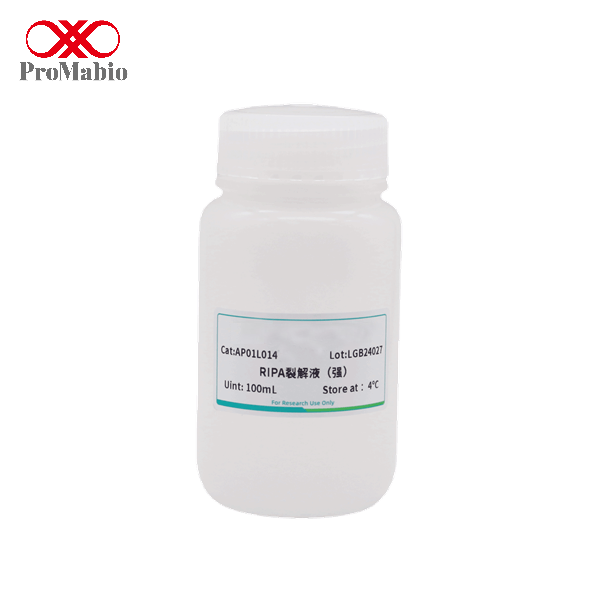 RIPA Radio Immunoprecipitation Assay Lysis Buffer 50ml 4 Storage Model AP01L013 for PAGE Western Blot IP
