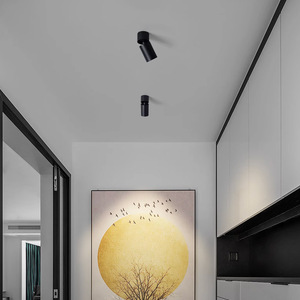 Opvouwbare <span class=keywords><strong>LED</strong></span>-spot 220V plafondlamp, verstelbaar omhoog en omlaag, opbouwspot - Product Image 4