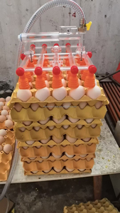 Vide 30 Oeufs Fixe Type <span class=keywords><strong>V30a</strong></span> Oeuf Lifter - Product Image 3