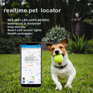 4G 宠物定位器防丢器猫狗追踪器 GPS WIFI ABS AGPS 健康计步器带防水功能和 60 小时电池寿命 - Product Image 1