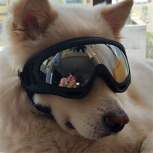 Lunettes de protection UV pour chien avec sangle réglable pour les petites et grandes races - Product Image 3