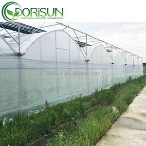 Venlo – pilier solaire en verre, Tunnel, couverture en plastique, lit de rocaille d'aquaculture, serre <span class=keywords><strong>avec</strong></span> <span class=keywords><strong>étang</strong></span> à poissons - Product Image 3