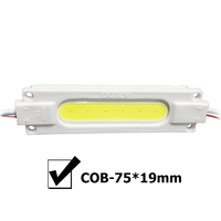 Module LED COB SMD d'extérieur à injection de super luminosité pour éclairage publicitaire