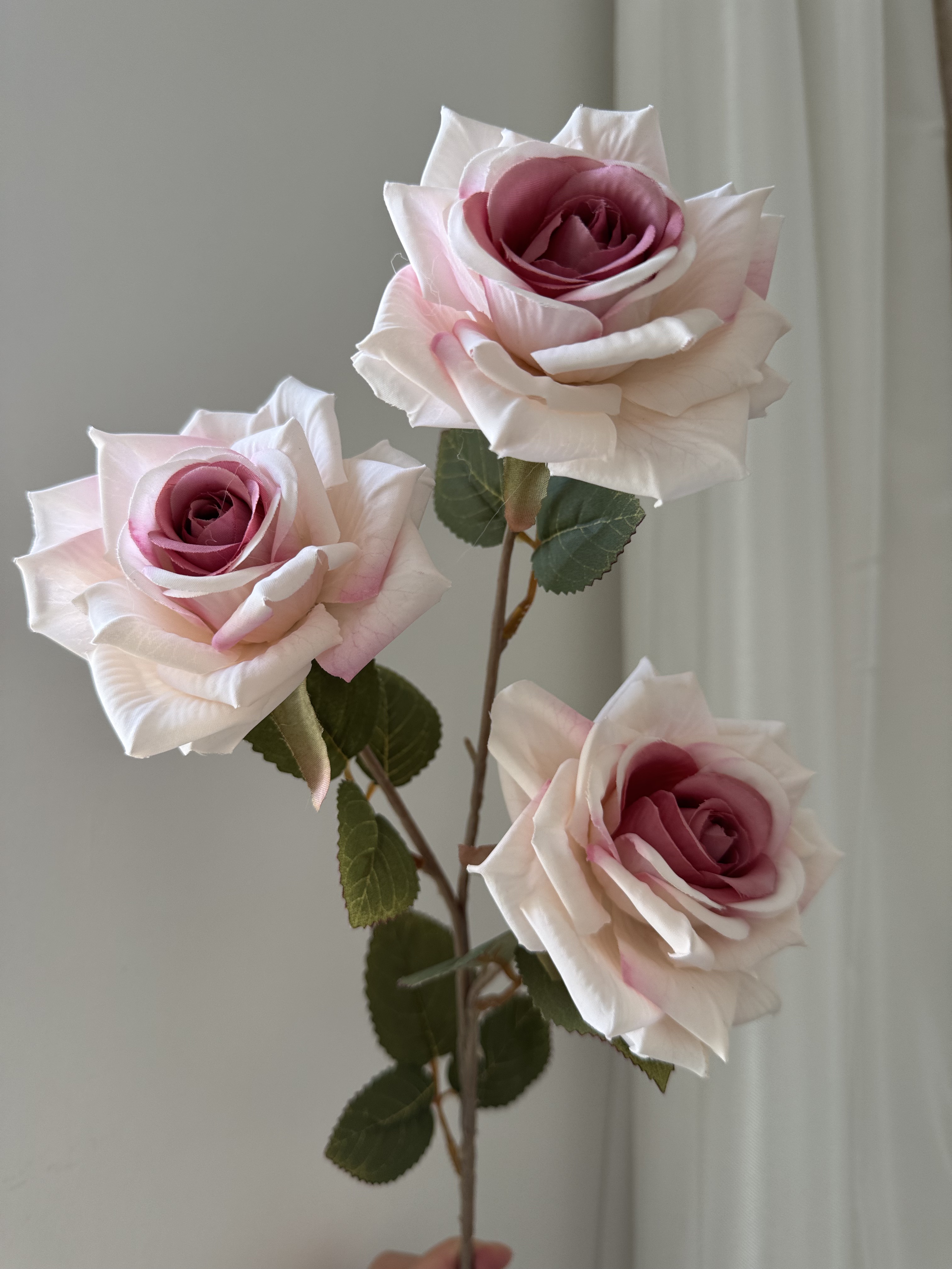 #5 pink