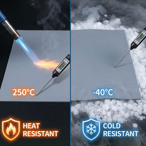 Hot Sale Soft <strong>30</strong> 40 50 <strong>Shore</strong> <strong>a</strong> Hardness Transparent Food Grade <strong>Silicone</strong> <strong>Rubber</strong> <strong>Sheet</strong> with FDA LFGB Standard - Product Image 3