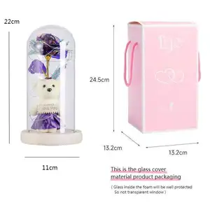 2024 Hot Selling Christmas Valentine's Day Birthday Gift LED Light Flowers With 1 Mini Bear Galaxy Rose In Glass Dome