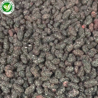 Iqf Exportprijs Sd Merk Gezond Fruit Bevroren Moerbei