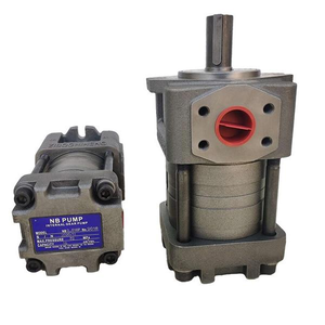 Pompe à engrenages interne hydraulique en fonte, séries NT et NB (NT2, NT3, NT4, NT5, NB2, NB3, NB4, NB5, NB6) - Ventes Flash - Product Image 4