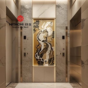 Elevadores Residenciales Modernos Hitachi de 2 a 5 Pisos, Elevadores de Pasajeros para Apartamentos de Dos Pisos con Capacidad de 630 kg, Elevadores Residenciales Pequeños Personalizados - Product Image 3