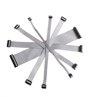 Custom Grey Pitch FFC 1. 2,0mm 1,27mm 2,54mm 6 8 10 12 14 16 18 19 20 22 24 26 28 30 34 P PIN IDC Cable de cinta plana de extensión