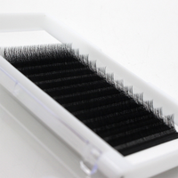 Extensions de cils individuelles mates, extensions de cils en cachemire, extensions de cils en volume, extensions de cils faciles à poser, extensions de cils coréennes