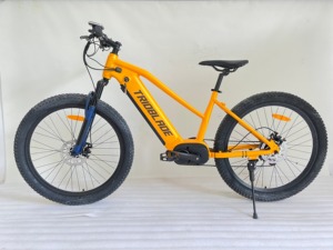 <span class=keywords><strong>Vélo</strong></span> <span class=keywords><strong>électrique</strong></span> E-Bike 48V, <span class=keywords><strong>couple</strong></span> de 30-<span class=keywords><strong>50</strong></span> <span class=keywords><strong>Nm</strong></span>, vitesse maximale <30 km/h, capacité de la batterie 13A avec performances stables - Product Image 2