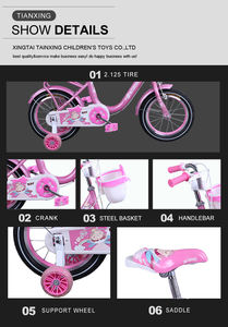 Vélo pour enfants pas cher adapté aux filles de 3 à 8 ans, de haute qualité, fabriqué en Allemagne, personnalisez votre propre logo, vélos pour enfants avec protège-coudes - Product Image 5