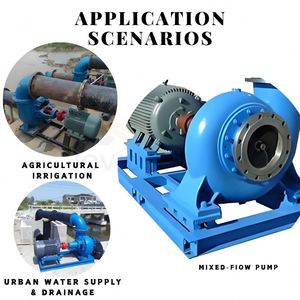 Pompe d'irrigation à flux mixte, pompe d'irrigation agricole en fonte, pompe centrifuge à flux mixte à volute - Product Image 6