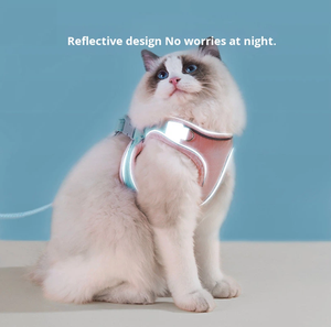 Cat Reflective Fashion Solid Nylon <span class=keywords><strong>Harness</strong></span> Leine für alle Jahreszeiten Spezielle Anti-Escape Pet Leine für Walking Dogs - Product Image 2