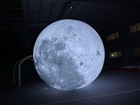 Ballon gonflable en forme de lune à imprimé lunaire vif avec impression par transfert thermique pour scène, exposition éducative et publicité