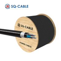 Câble blindé en acier IEC 60228 AL/PVC/STA/XLPE