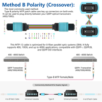 Fast Transmission Speed 8/12/24 Core Fiber Optic Patch Cord MTP to MTP OM3 OM4 OM5 SM MPO