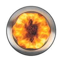 Poêle en acier inoxydable, poêle portable, foyer à bois sans fumée, foyer de camping, feux de camp, foyer extérieur sans fumée