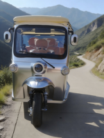 Tricycle standard L5e entièrement équipé pour la montée en pente avec contrôleur haute puissance et haute efficacité, homologué pour la route