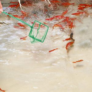 Aquariumvisnet-Fijnmazig Snel Vangnet-Nylon Visnet Met Lang Plastic Handvat Geschikt Voor Aquariumgroen - Product Image 6