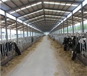 Establo Prefabricado para Vacas Lecheras a Bajo <span class=keywords><strong>Precio</strong></span>, Construcción de Granjas para Ganado - Product Image 2