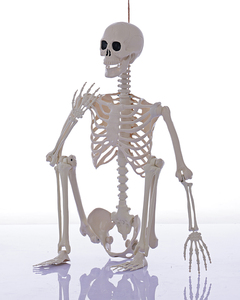 Esqueleto de Halloween Personalizado de 165 cm con Articulaciones Móviles, Huesos Humanos de Plástico para Decoración de Casas Encantadas y Exteriores - Product Image 2