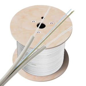 Cordon de raccordement HJ-Fiber HJ-1B SC, produit fini, câble à <span class=keywords><strong>fibre</strong></span> <span class=keywords><strong>optique</strong></span> 1 cœur <span class=keywords><strong>pour</strong></span> usage domestique, extension réseau pré-encollée - Product Image 1