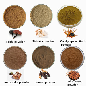 Polvo de Hongos Shiitake Mixtos Orgánicos, Extracto de Hongos Lingzhi, Cordyceps y Morel, Personalizable y con Marca - Product Image 1