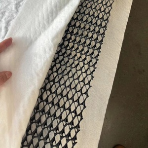 4Mm 5Mm Đen 3D Thoát Nước Geonet Bãi Rác Sử Dụng Hệ Thống Thoát Nước Net - Product Image 1