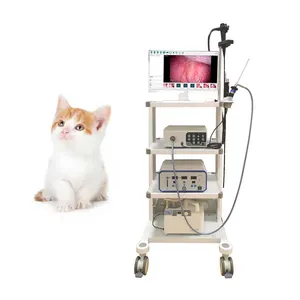 Factory Price Endoscopy System for Pet Clinic 3d Endoscopic Camera System Veterinary Endoscope Dog Cat