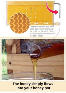 Ruche à abeilles automatique en cèdre chinois ciré avec 7 cadres auto-écoulants et équipement d'apiculture - Product Image 3