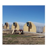 Serre tunnel monocouche pour légumes, structure en acier galvanisé à chaud avec couverture en feuille plastique durable pour l'agriculture