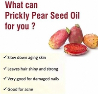 Minyak Biji Prickly Pear 100% Murni Private Label, Minyak Buah Ara Barbary Extra Virgin Cold Pressed untuk Wajah, Tubuh, dan Rambut