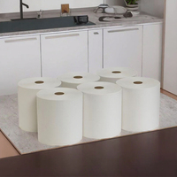 Anpassbare Umweltfreundliche Waschbare Einweg-2-lagige Weiche Zentralerzogene Jumbo-Rollenpapiertücher aus Frischholzzellstoff für Hotels