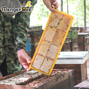 New Menger Bee Complete Set <b>Plastic</b> Honeycomb Cassette Bee <b>Frame</b> Clear Honeycomb Box - Product Image 2