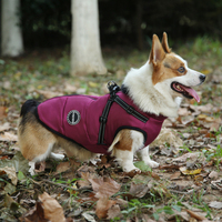 Manteau d'hiver imperméable et réfléchissant pour chien VPETBR, harnais avec fermeture éclair au dos, combinaison de neige, vêtements pour animaux de compagnie, motif uni, veste pour chat
