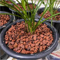 Pierre de basalte naturelle volcanique 1-20cm pour SPA, diffuseur de parfum d'aquarium de pureté de l'eau de pavage respirant pour plante aquatique
