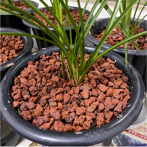 Piedra volcánica de basalto Natural de 1-20cm <span class=keywords><strong>para</strong></span> <span class=keywords><strong>SPA</strong></span>, pavimentación transpirable, difusor de fragancia de acuario de pureza de agua <span class=keywords><strong>para</strong></span> plantas acuáticas - Product Image 2