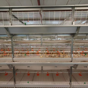 เครื่องเก็บไข่ไก่ HENGQI HqH4 รุ่นใหม่ ปี 2026 แบบอัตโนมัติ โครงเหล็กชุบสังกะสีแบบจุ่มร้อน  มอเตอร์คู่ ลดการแตกหัก สำหรับสัตว์ปีก - Product Image 6