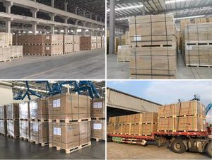 Panneau solaire photovoltaïque monocristallin Trina Vertex N Backsheet TSM-NE19R 615W-650W pour usage domestique, en stock - Product Image 6