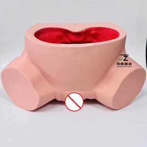 แบบจำลองการฝึกอบรมภาวะคลอดยากทางวิทยาศาสตร์การแพทย์ แบบจำลองการฝึกอบรมการช่วยคลอด แบบจำลองการฝึกอบรมการช่วยคลอด - Product Image 4