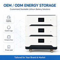 Sistem Baterai LiFePO4 Modular 15kWh 51.2V Smart BMS Kompatibel Multi-Inverter CE IEC62619 UN38.3