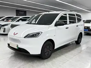 Wuling Hongguang Range Extender Comfort Edition 2025 Usato, Furgone Ibrido Automatico con Telecamera Posteriore e Sedili in Tessuto, Guida a Sinistra - Product Image 1