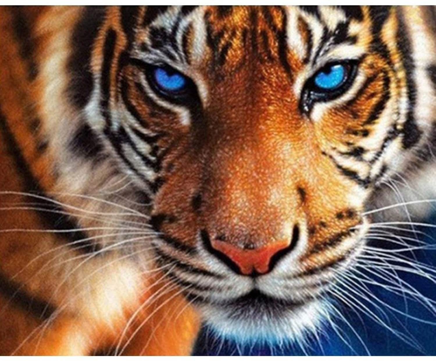 Tigre
