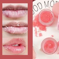 Masker Bibir Organik Private Label Aloe Vera Perawatan Hidrasi & Perbaikan 2-in-1 Scrub Bibir Vegan Rasa Buah Pengelupas Kulit Mati