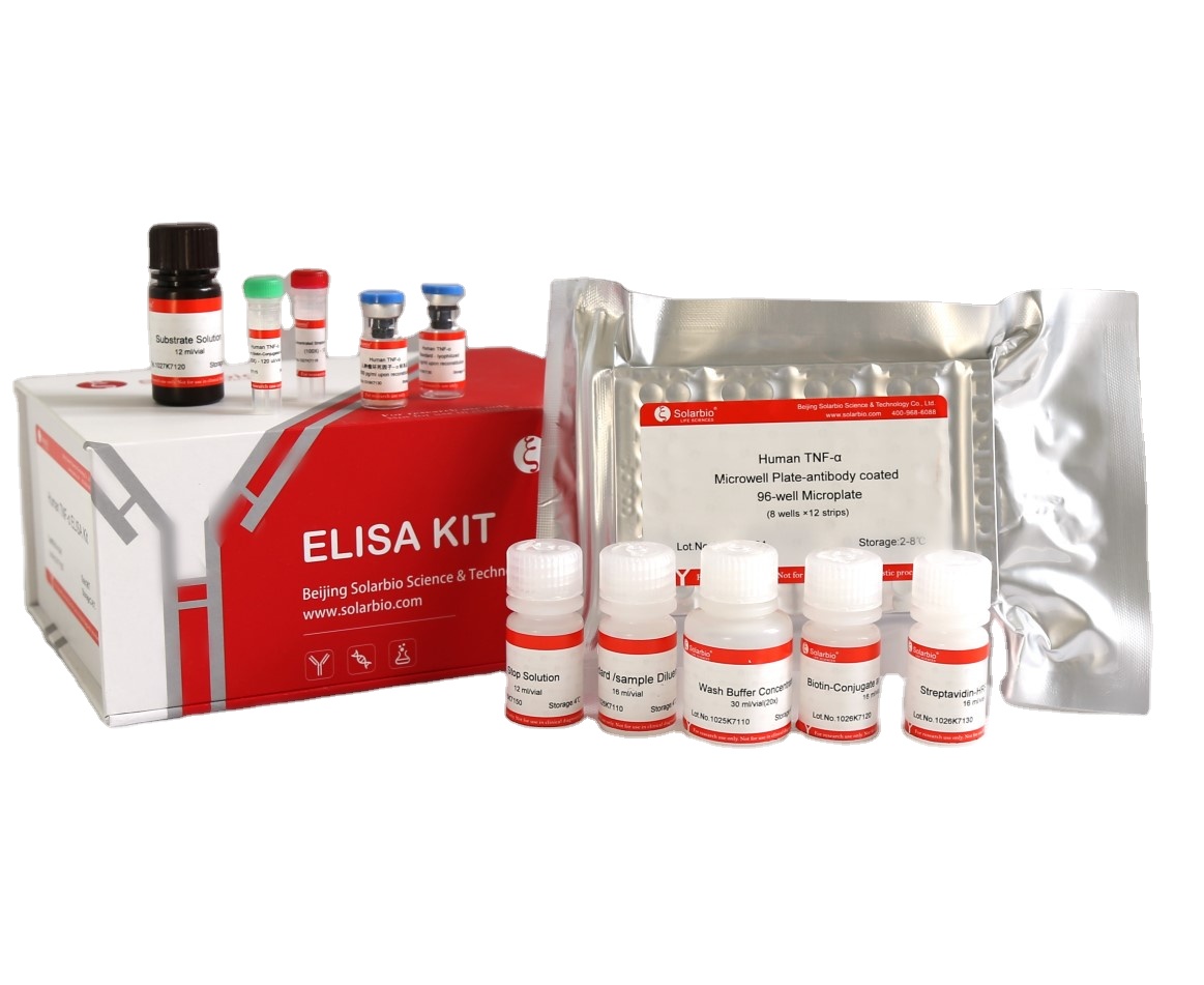 인간의 IL-10 ELISA KIT