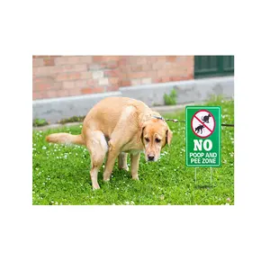 Limpe após o seu cão, sinais de quintal com estaca dupla face, sem cocô de cachorro, sinais de gramado ao ar livre