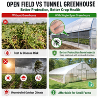 Serre Agricole Préfabriquée Extérieure en Film Plastique pour Culture de Tomates, Tunnel de Culture Polyvalent, 1000m²
